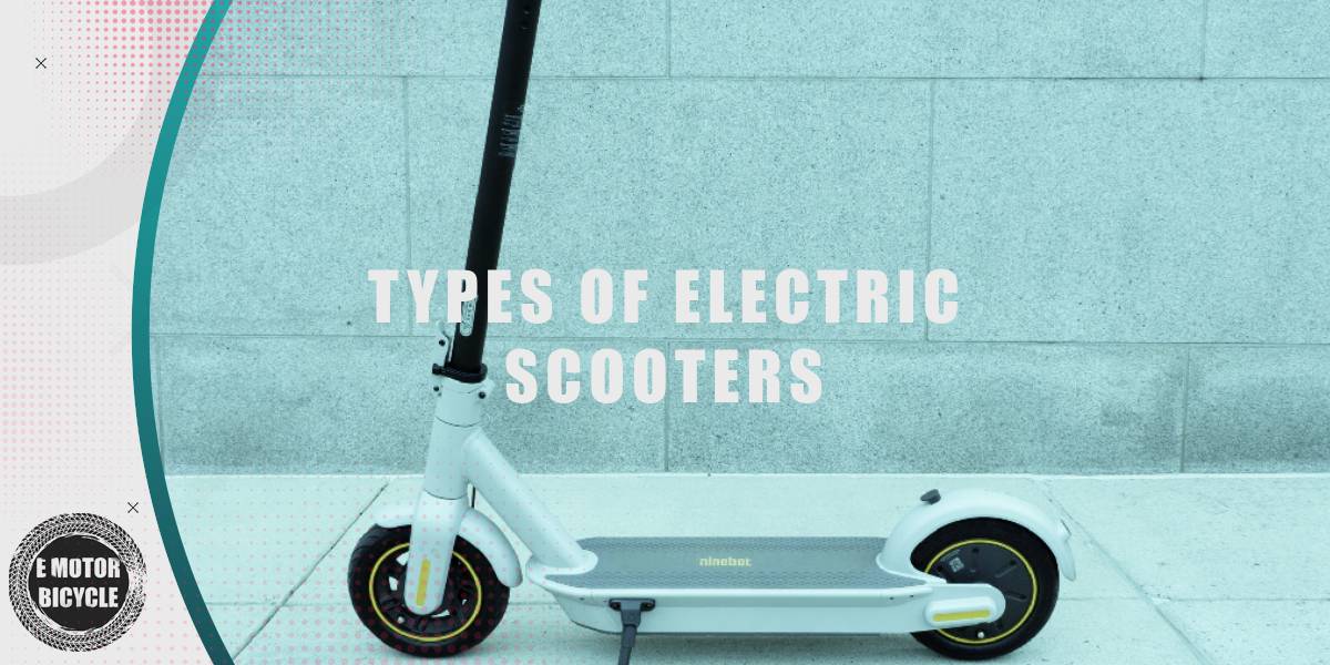 types of electric scooters